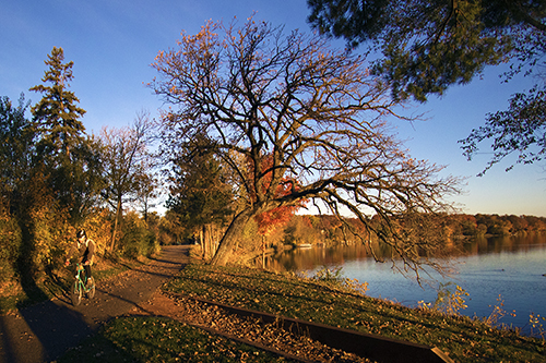 Photo of a bicyclist riding on a trail near a lake at sunrise