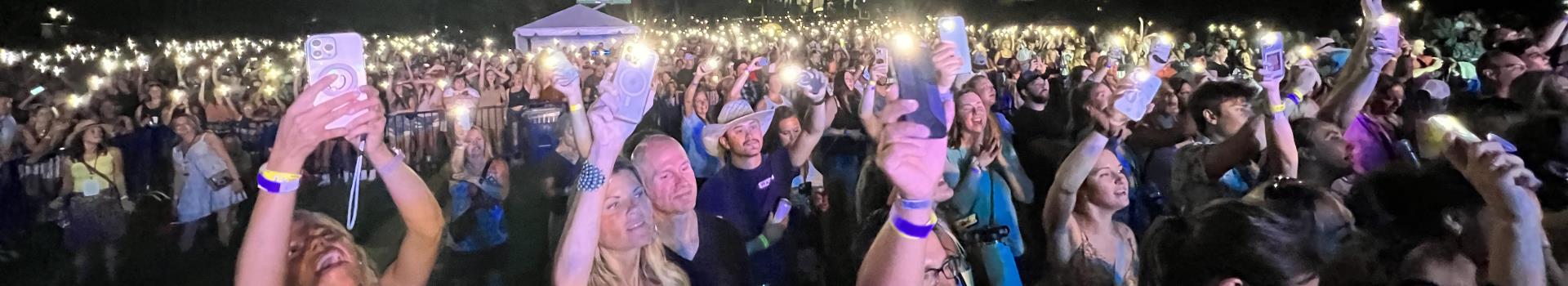 A crowd of people at an outdoor concert at night