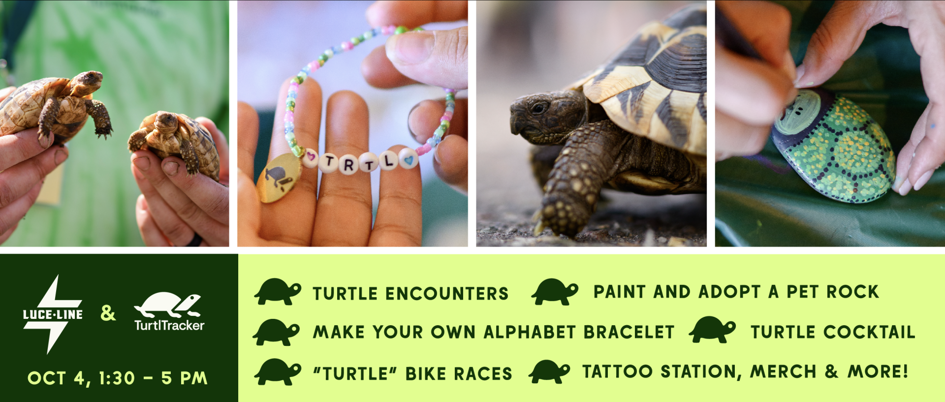 Turtle Bash flyer with list of activities and photos of turtles